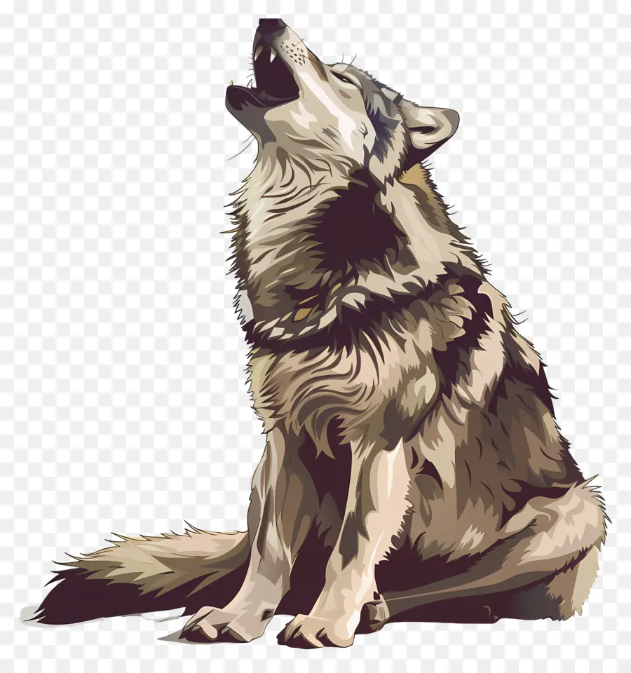 вой волка，Серый волк PNG