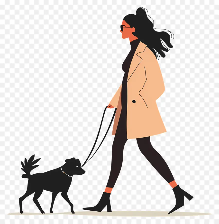 Женщина ходящая собака，Собака на поводке PNG