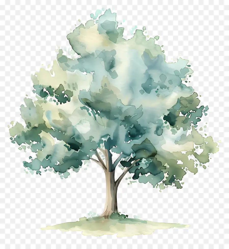 План акварельного дерева，акварельная живопись PNG