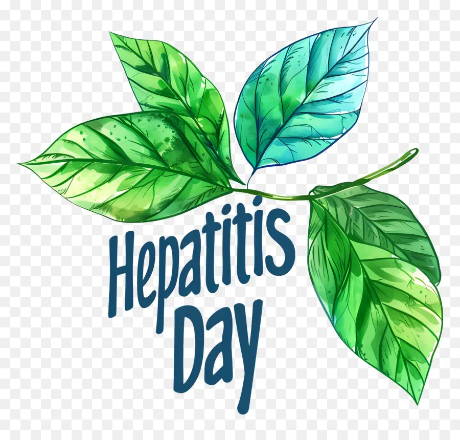 Всемирный день борьбы с гепатитом，акварель PNG