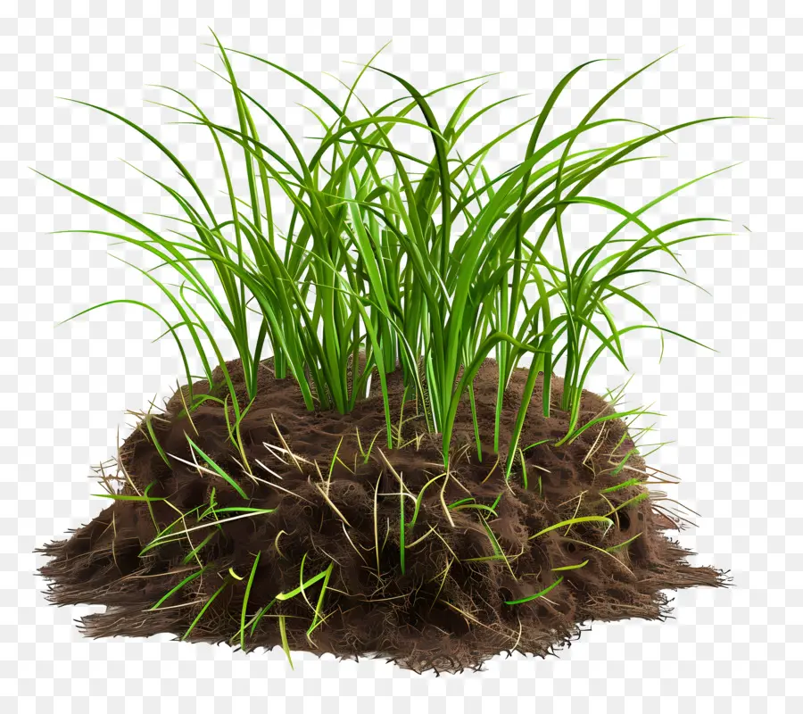 Почвы，трава PNG