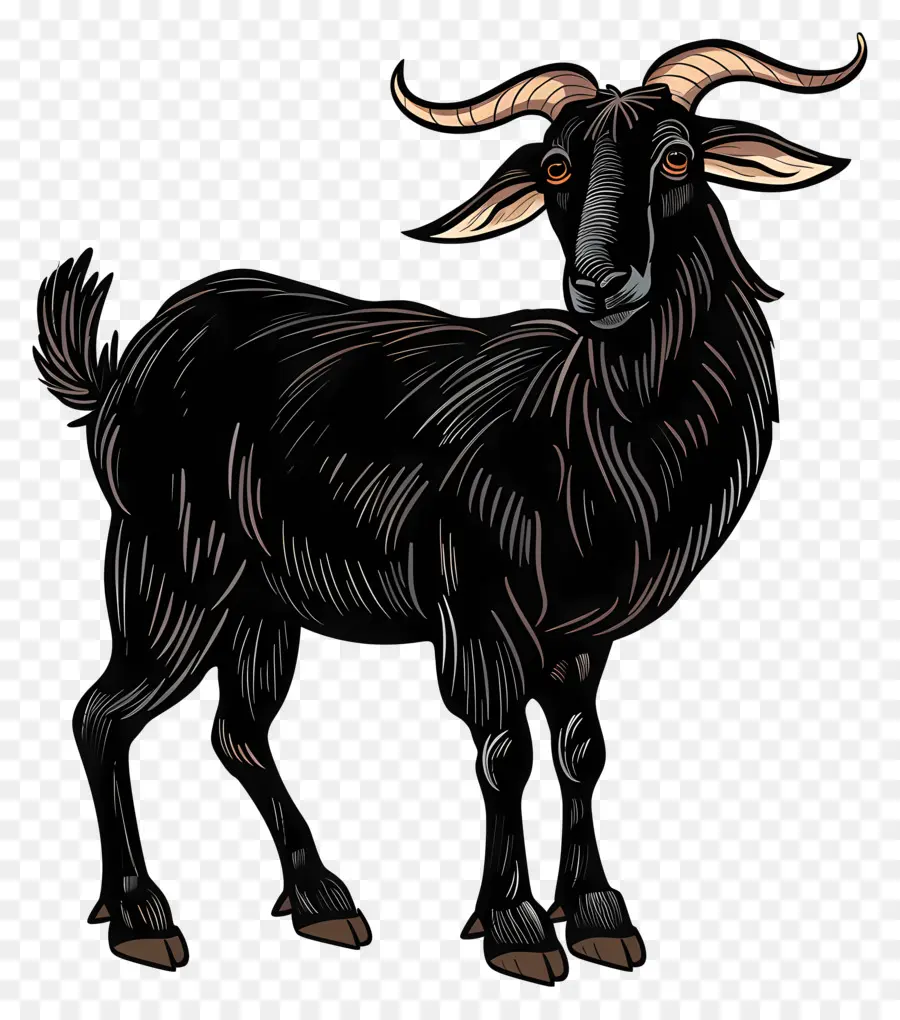 Черный коз，Изогнутые рога PNG