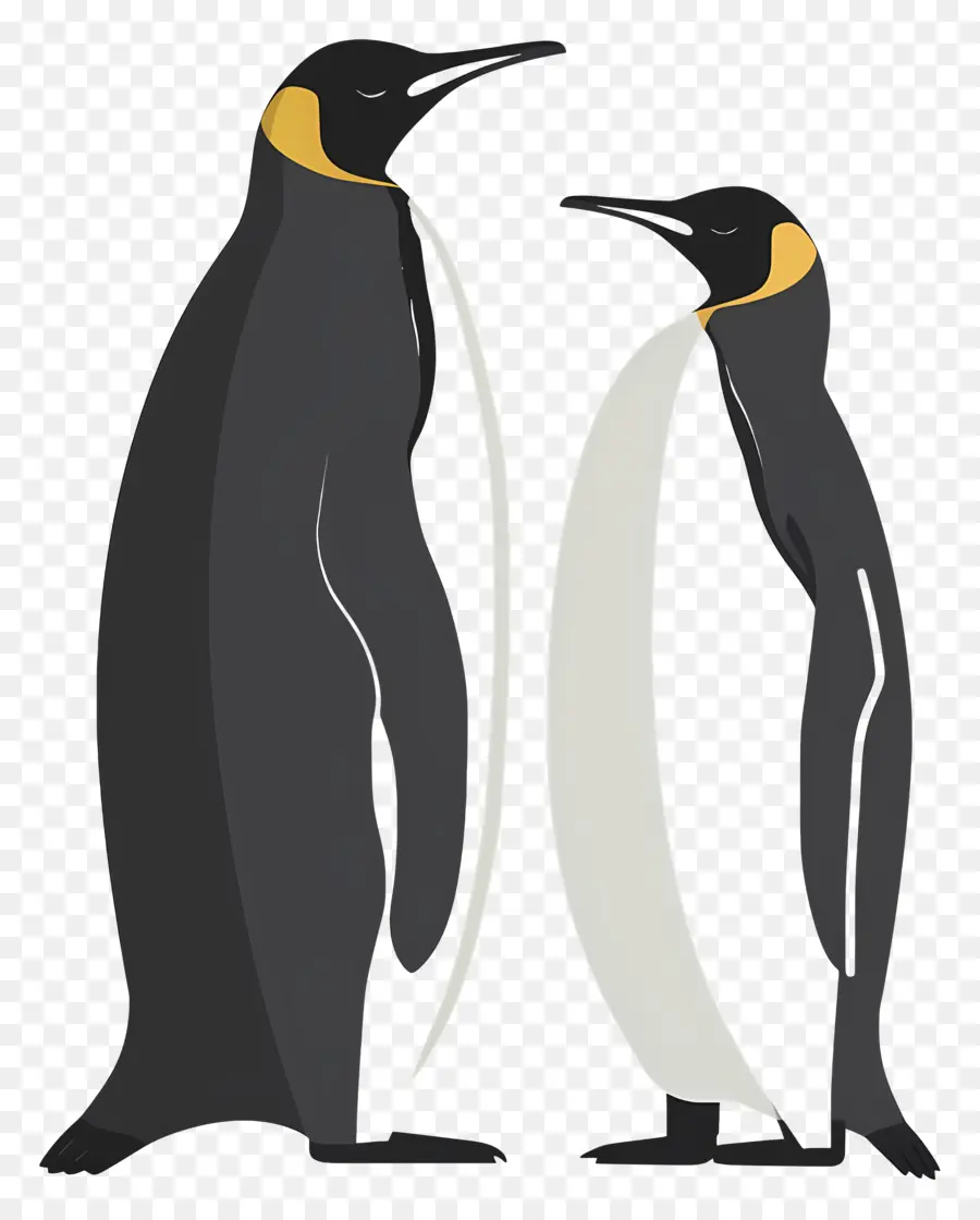 пингвины，черный пиджак PNG