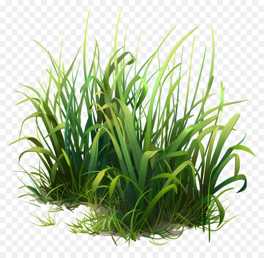 трава земля，зеленая трава PNG