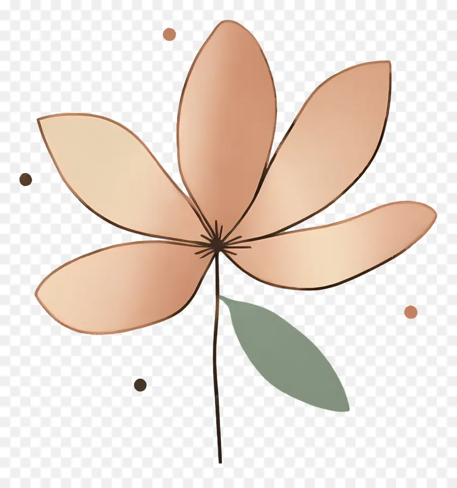 цветок блеска，цветок PNG