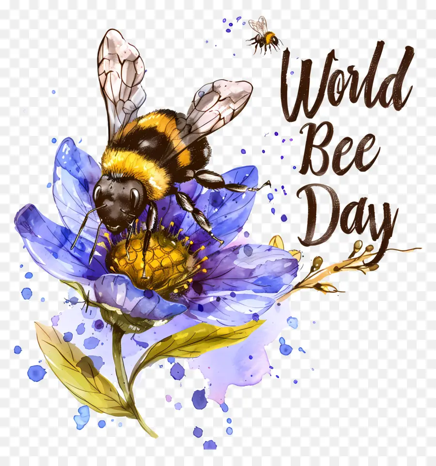 Всемирный День Пчел，день пчела PNG