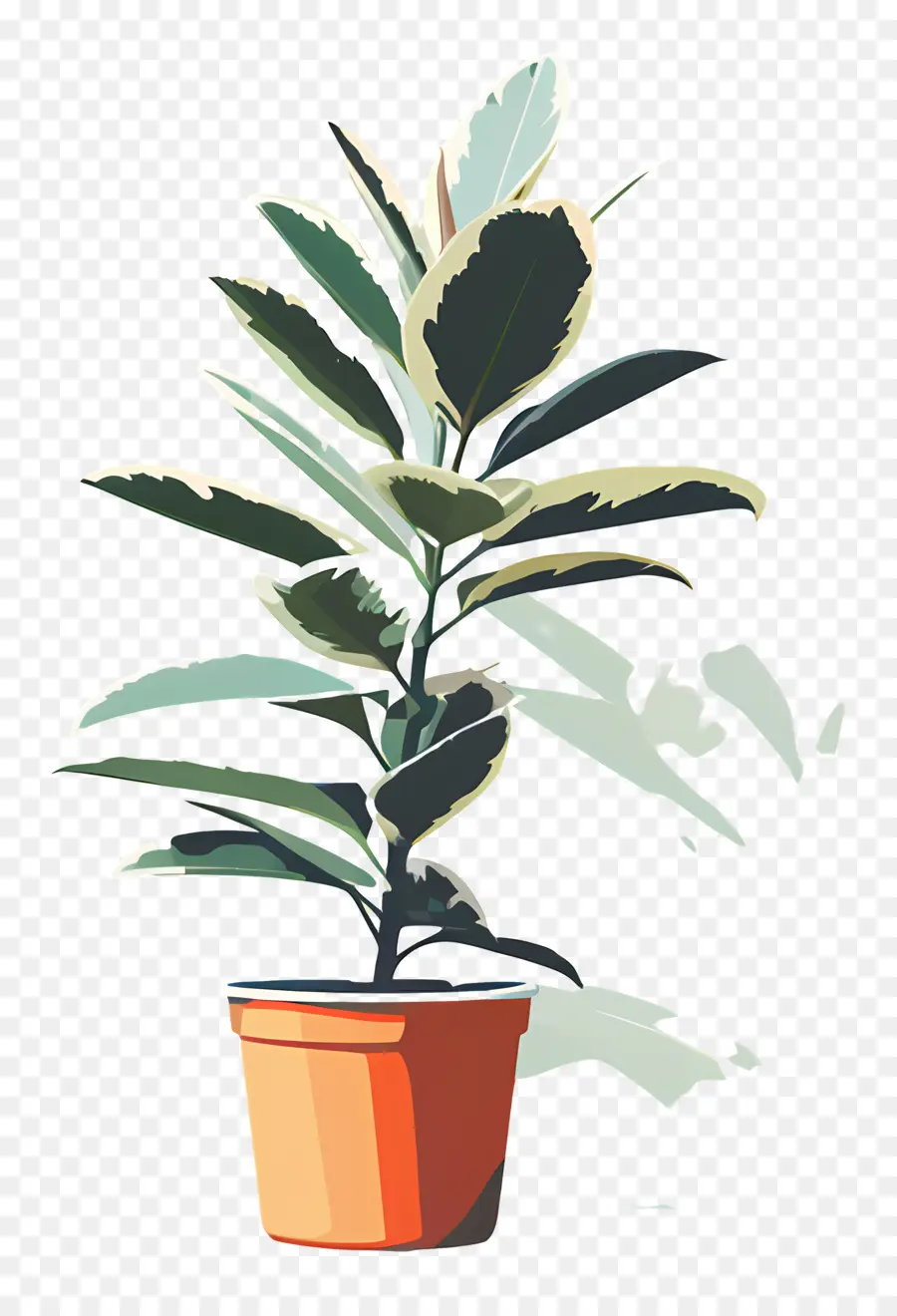горшечные растения，Внутреннее растение PNG