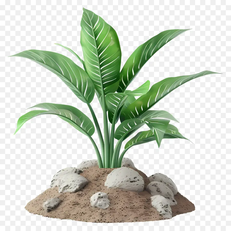 сажать почву，роста растений PNG