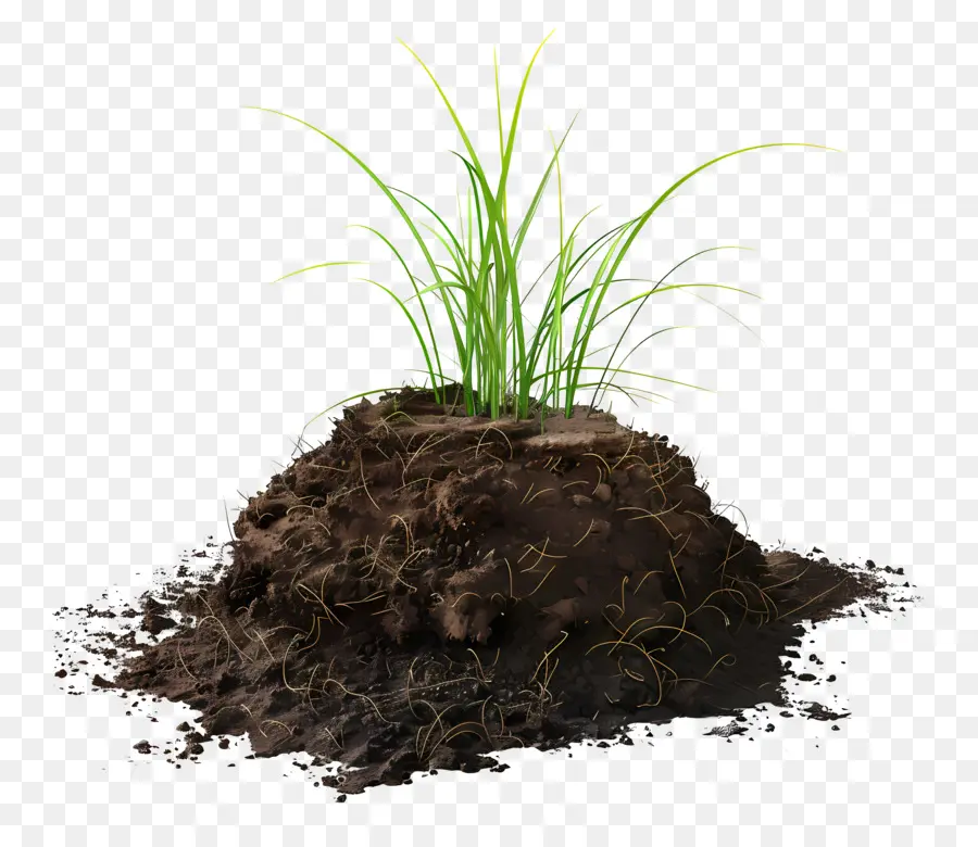 Почвы，растения PNG