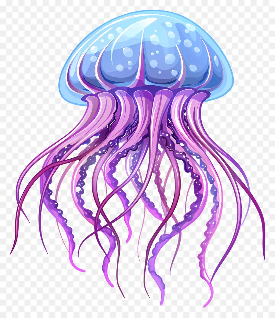 медузы，фиолетовые медузы PNG