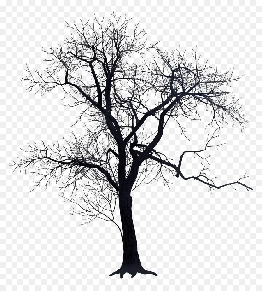 Дерево，черный PNG