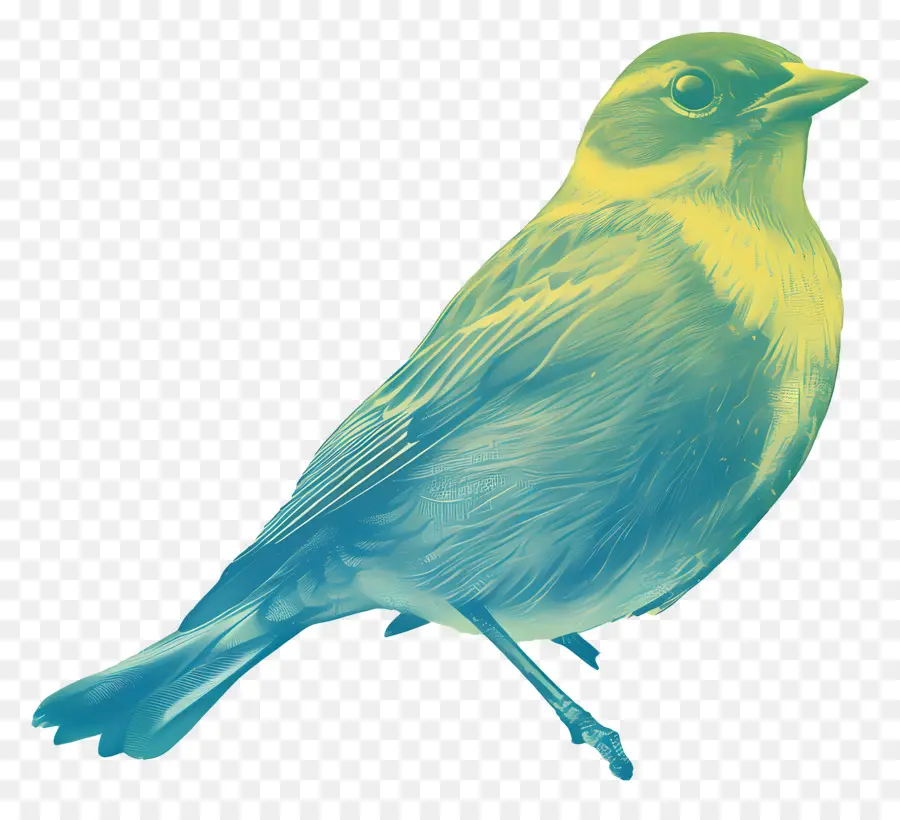 Птица，желтая птица PNG