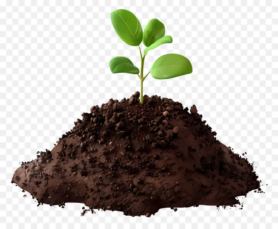 Почвы，роста растений PNG