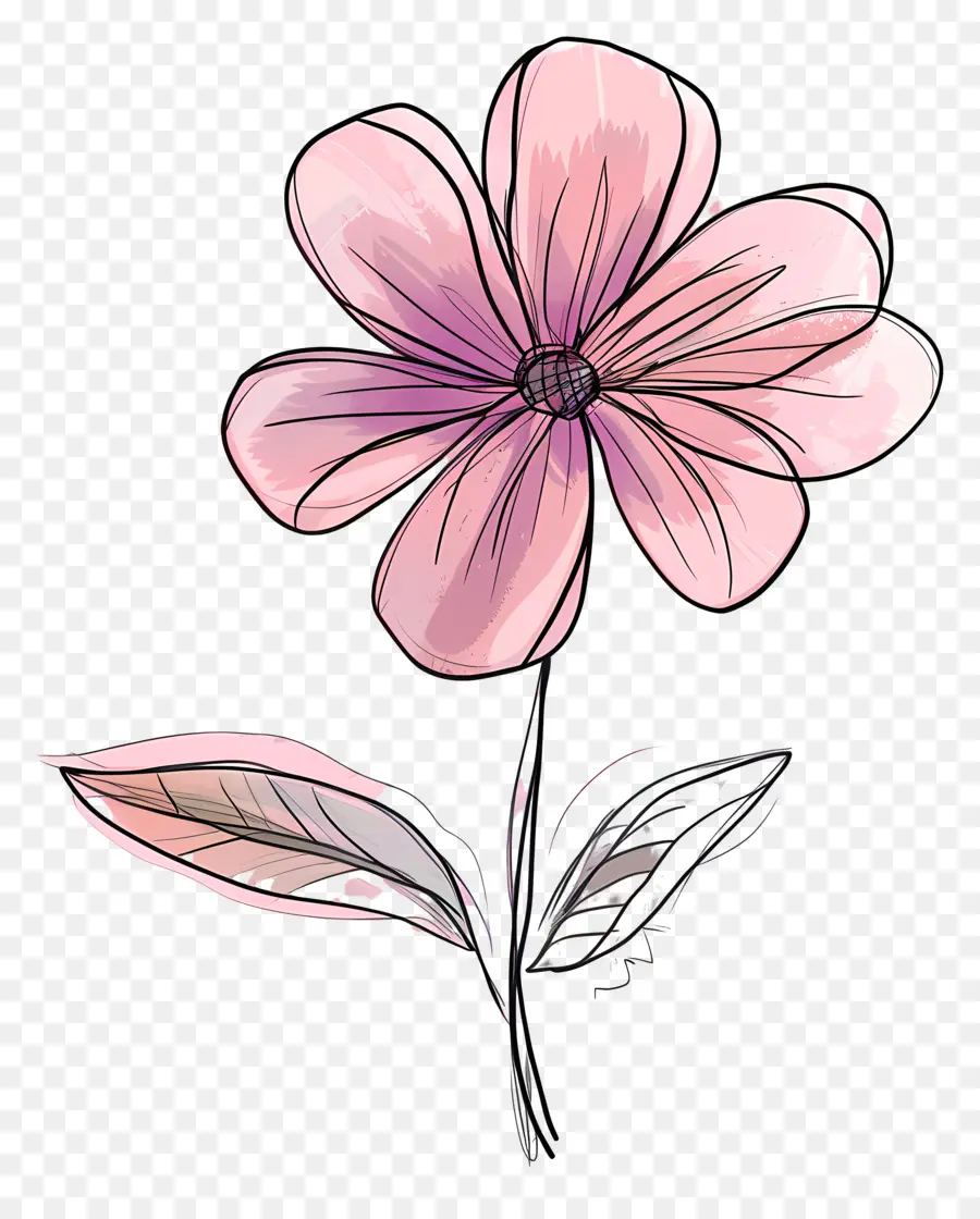 каракули цветок，розовый цветок PNG