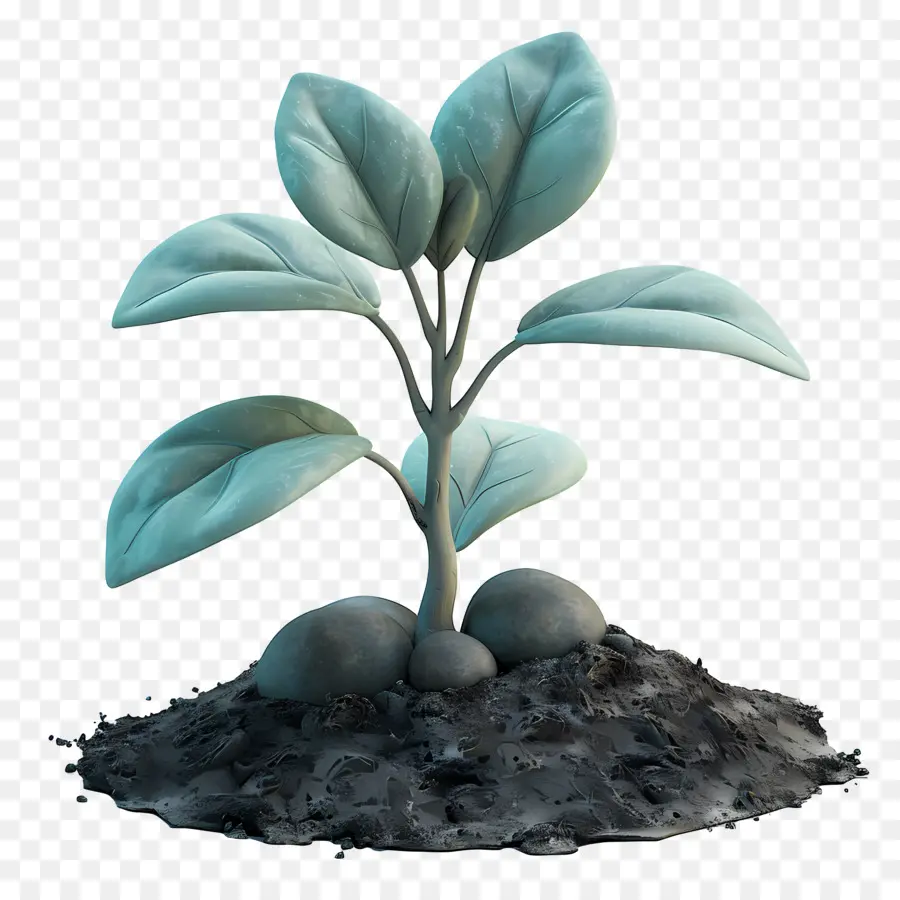 сажать почву，роста растений PNG