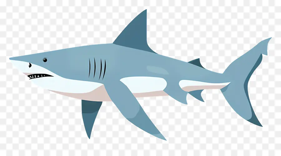 Акула，хищный PNG