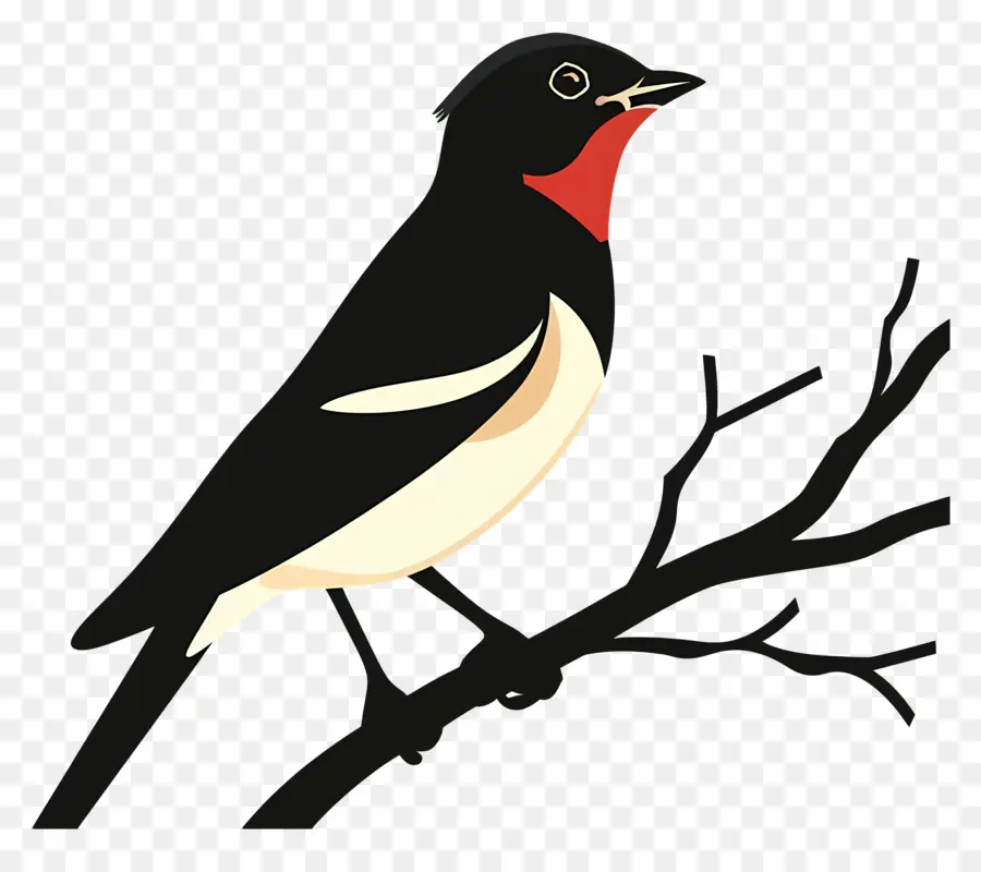 Птица，черная птица PNG