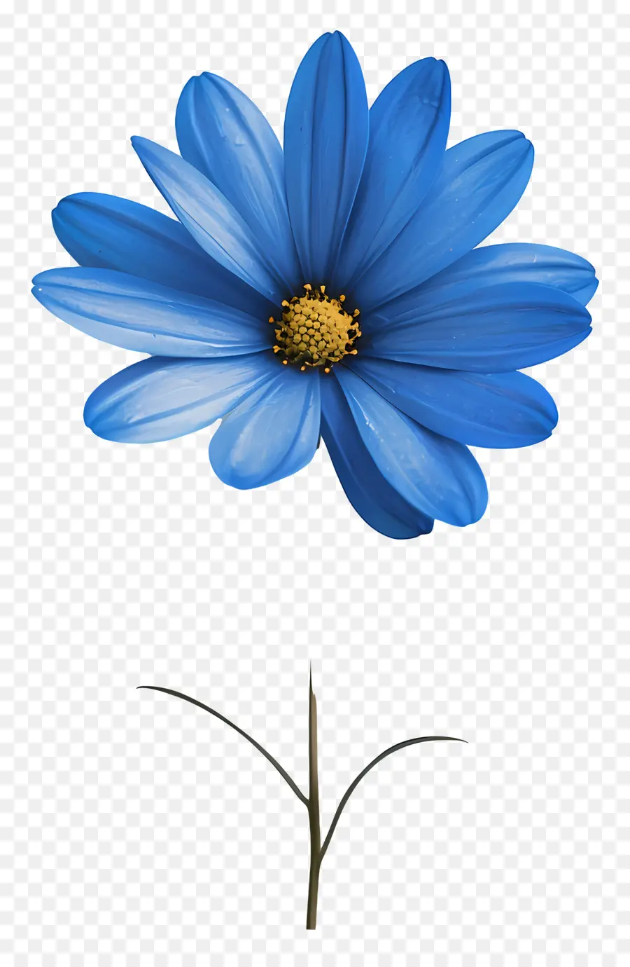 Голубой цветок，Дейзи PNG