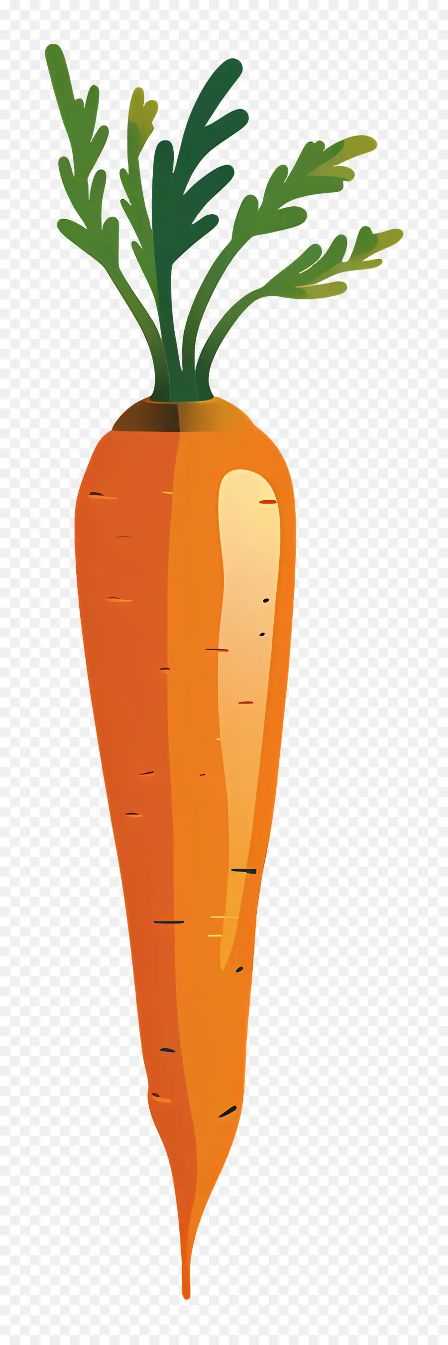 Морковный，корнеплод PNG
