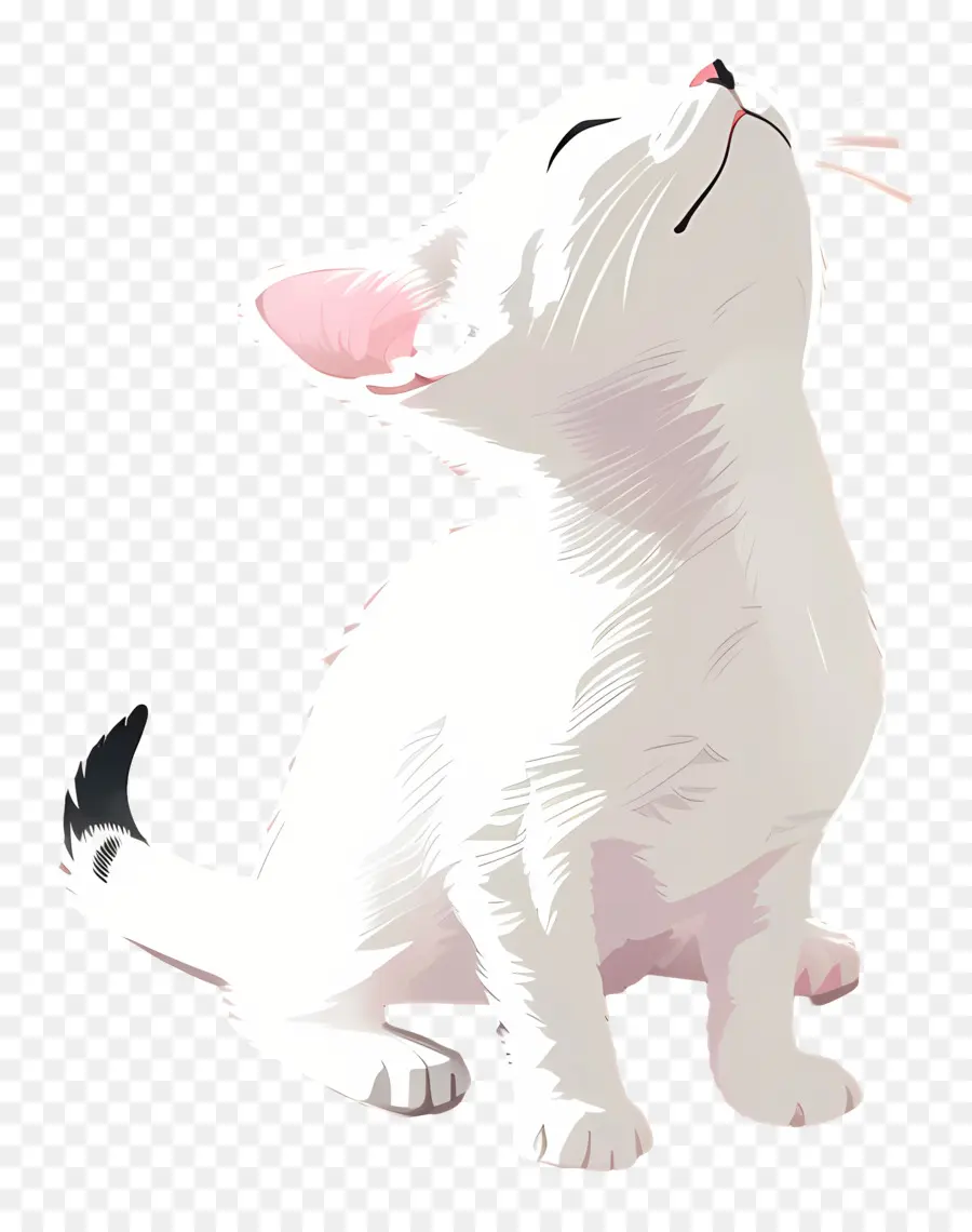 Котенок，белый кот PNG