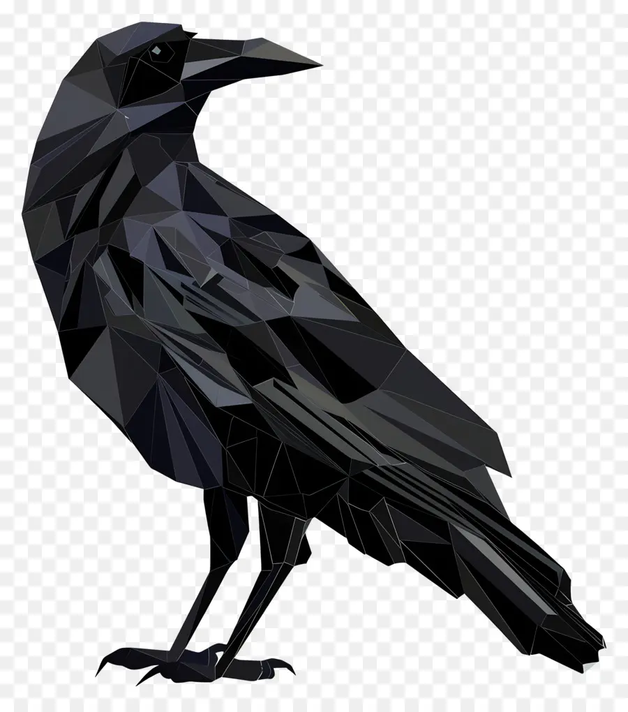 ворона，черные перья PNG