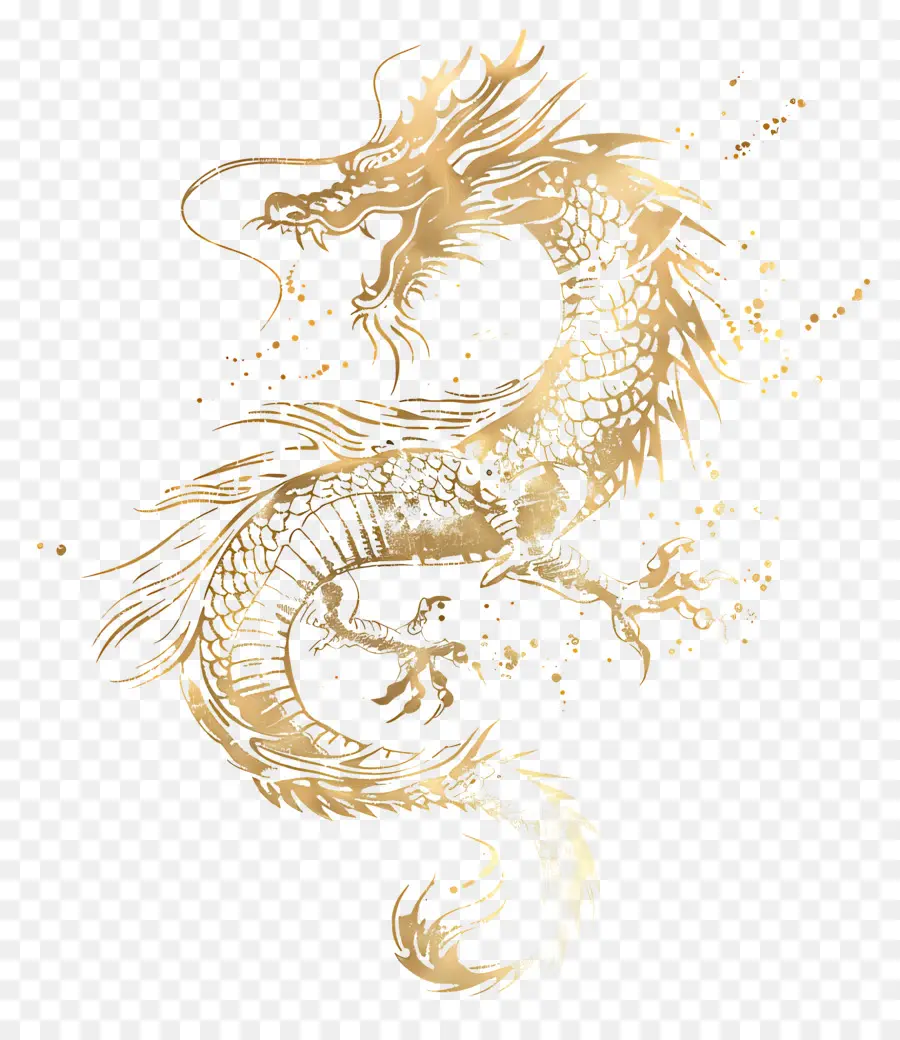 золотой дракон，Дракон PNG