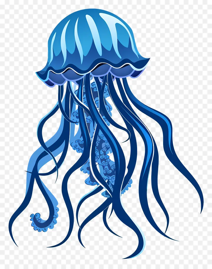 медузы，Синий медузы PNG