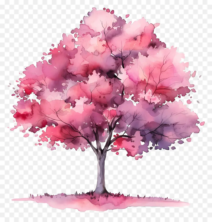 План акварельного дерева，Розовые цветы PNG