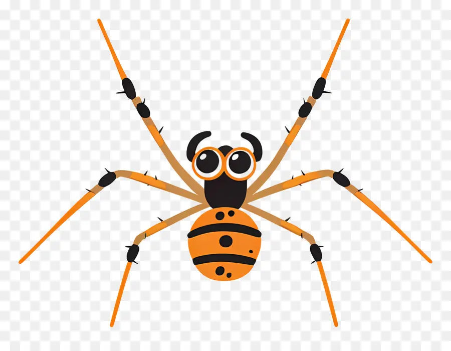паук，паукообразный PNG
