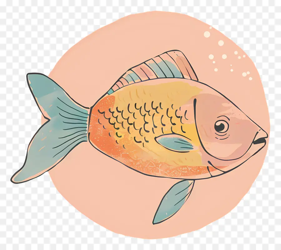 Рыбы，Рисунок PNG
