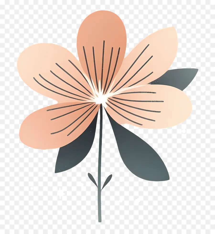 цветок блеска，иллюстрация цветок PNG