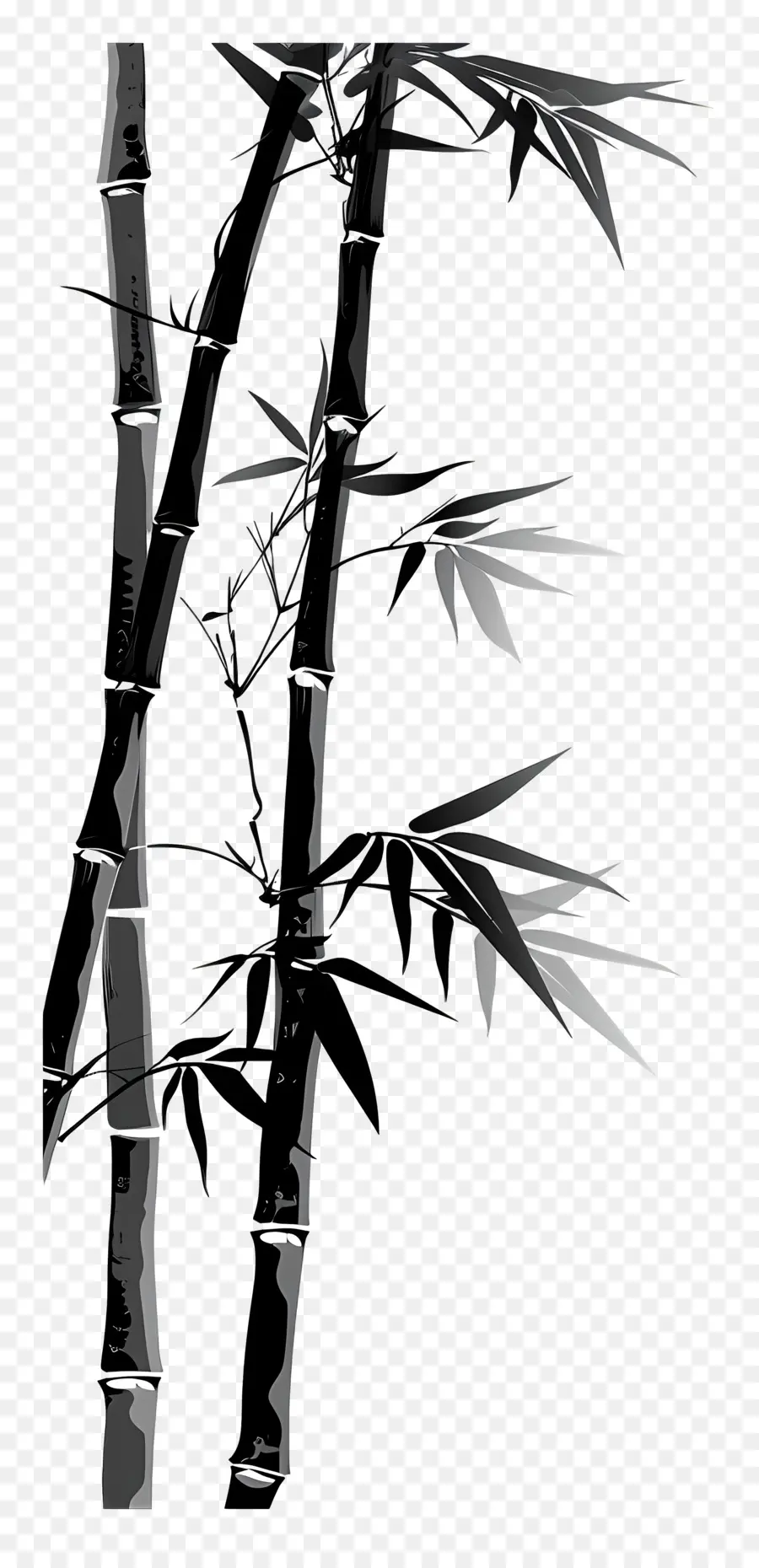 Bamboo，бамбуковое дерево PNG