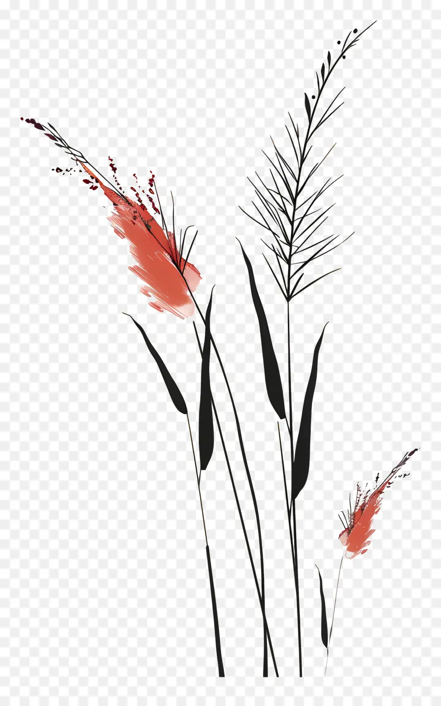 Цветочная трава，перья PNG