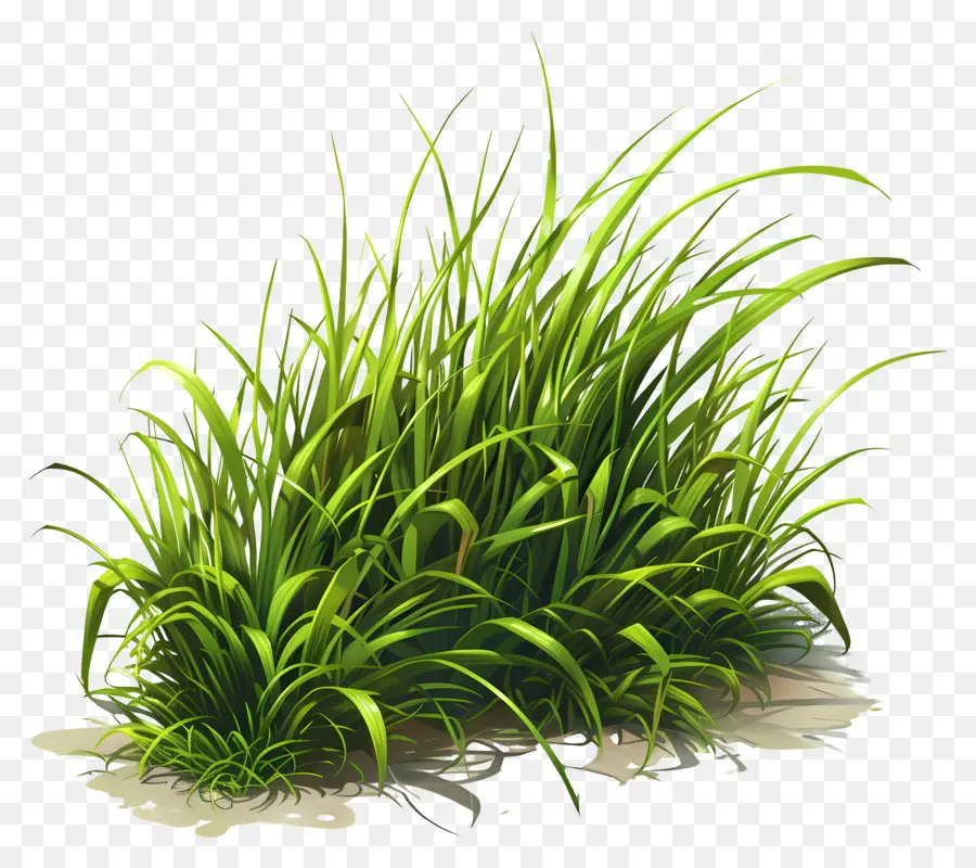 трава земля，зеленый газон PNG