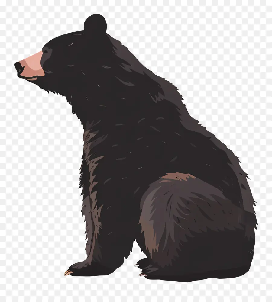 медведь，черный медведь PNG