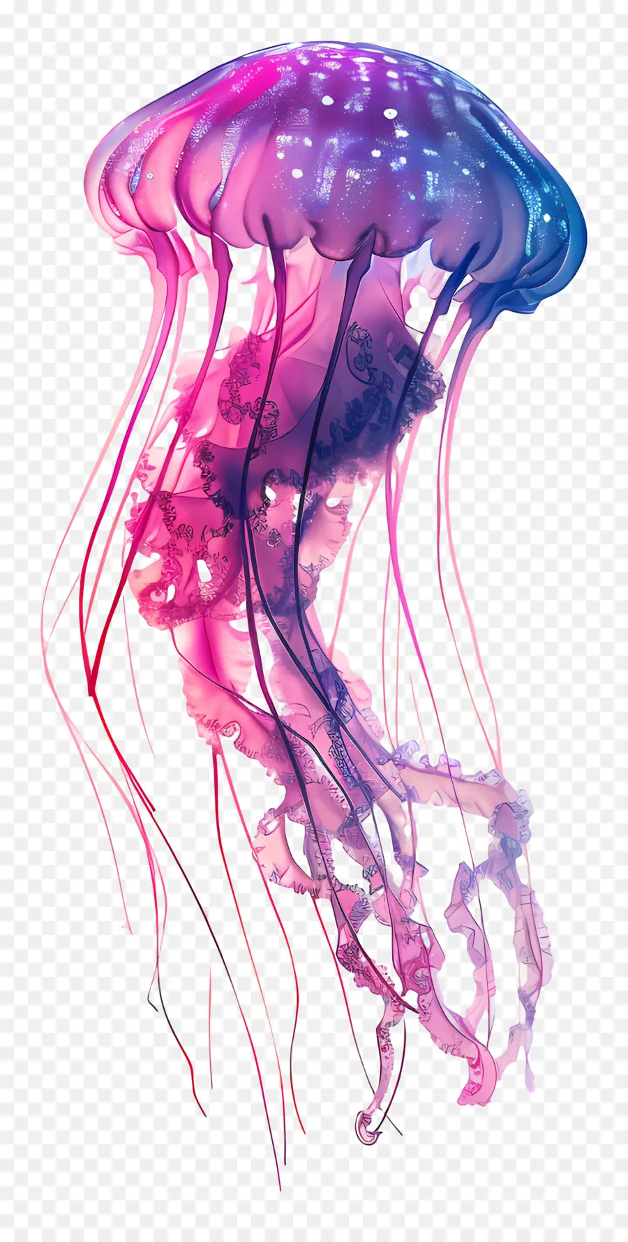 медузы，красочная медуза PNG