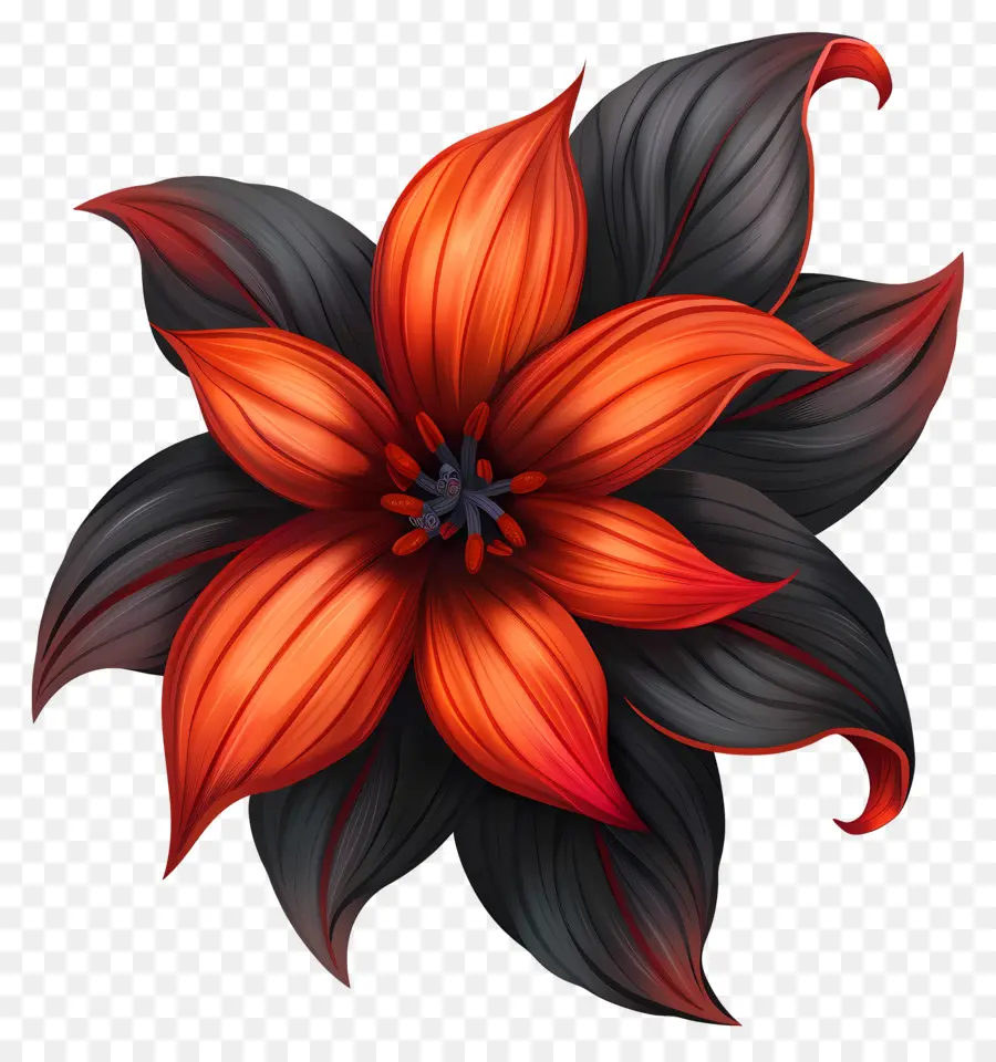 простой цветок，красный цветок PNG