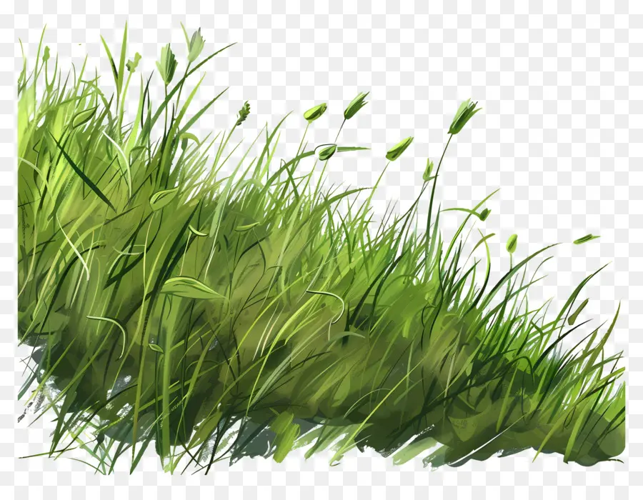 трава земля，зеленая трава PNG