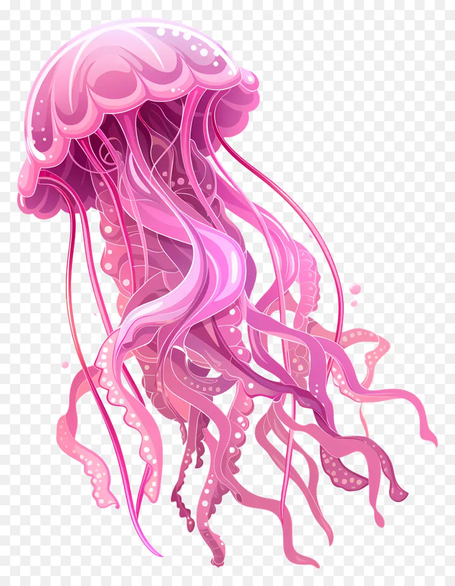 медузы，морское существо PNG