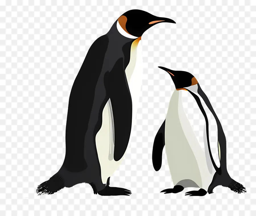 пингвины，дикой природы PNG