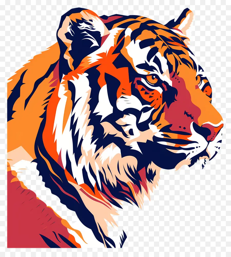 Тигр，величественные PNG