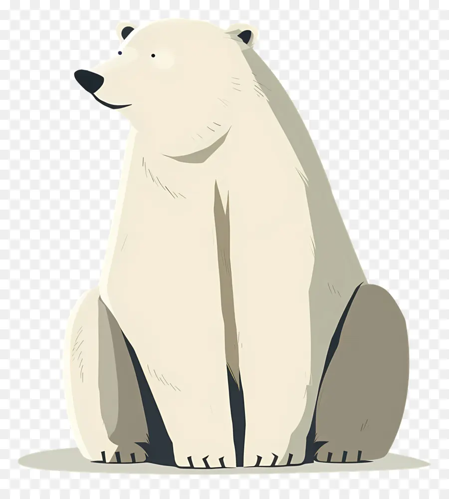 медведь，Белый медведь PNG