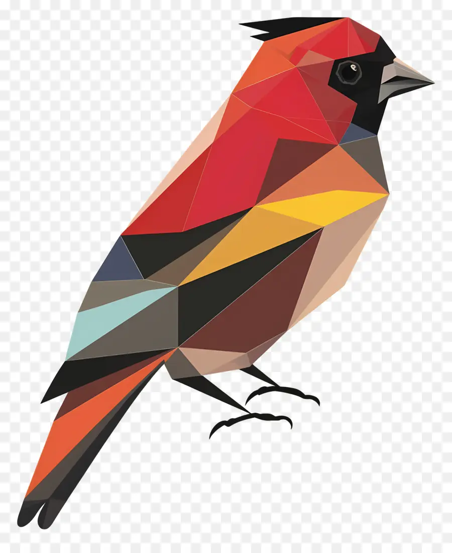 Птица，красочные птицы PNG