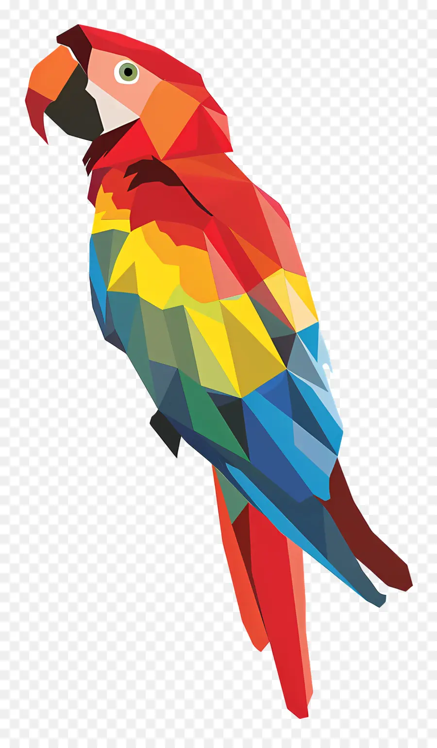 Попугай，радужный попугай PNG