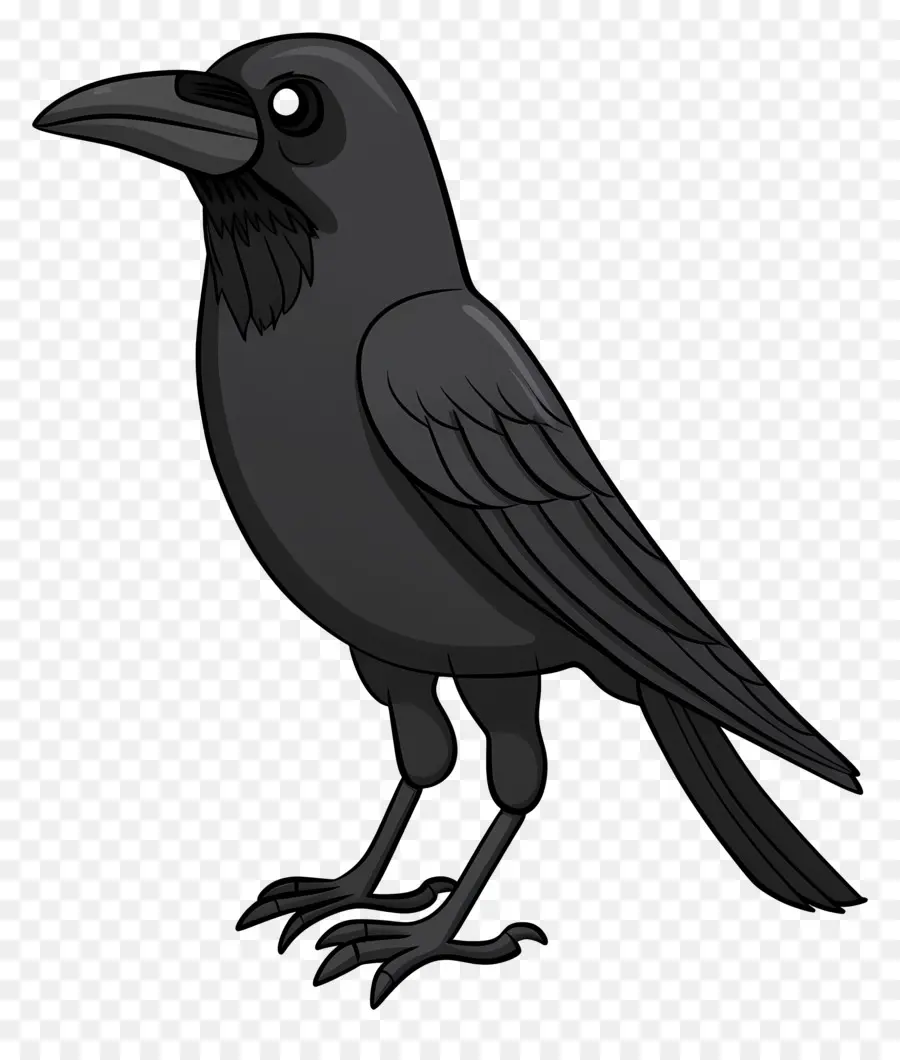 ворона，Черный ворон PNG