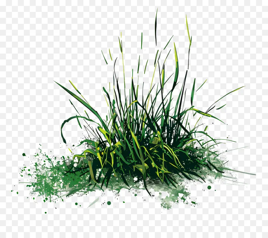 зеленая трава，трава PNG