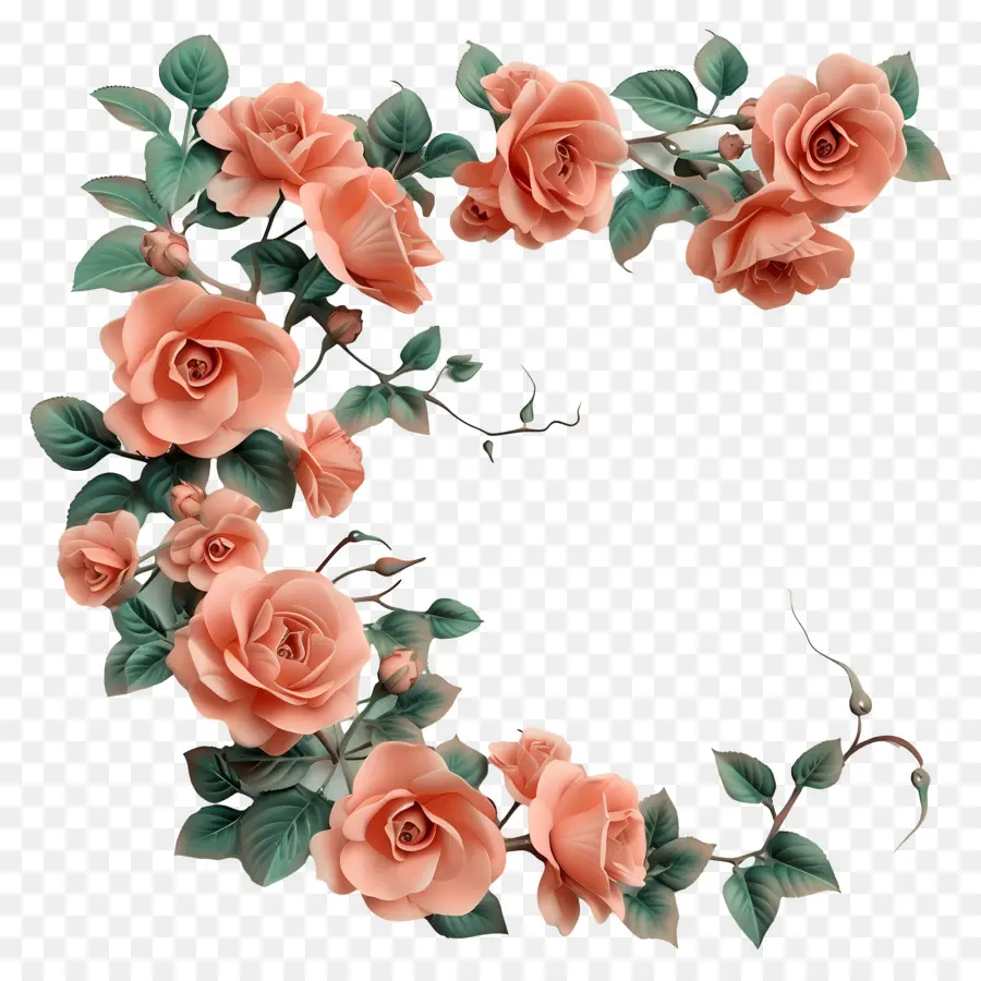 Сад роз，цветок розы PNG