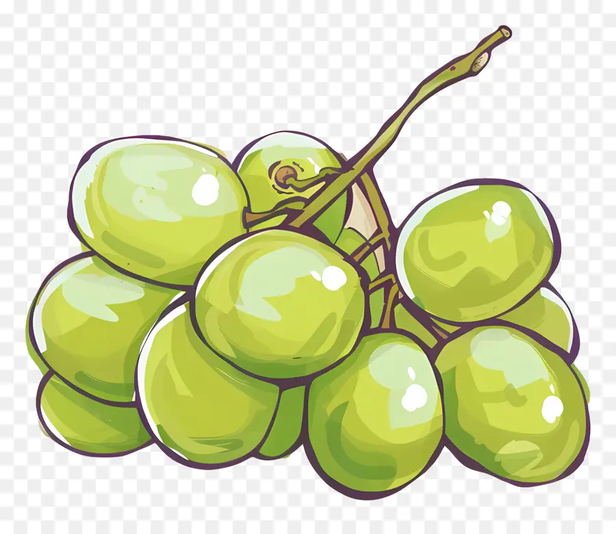 Зеленый виноград，Фрукты PNG