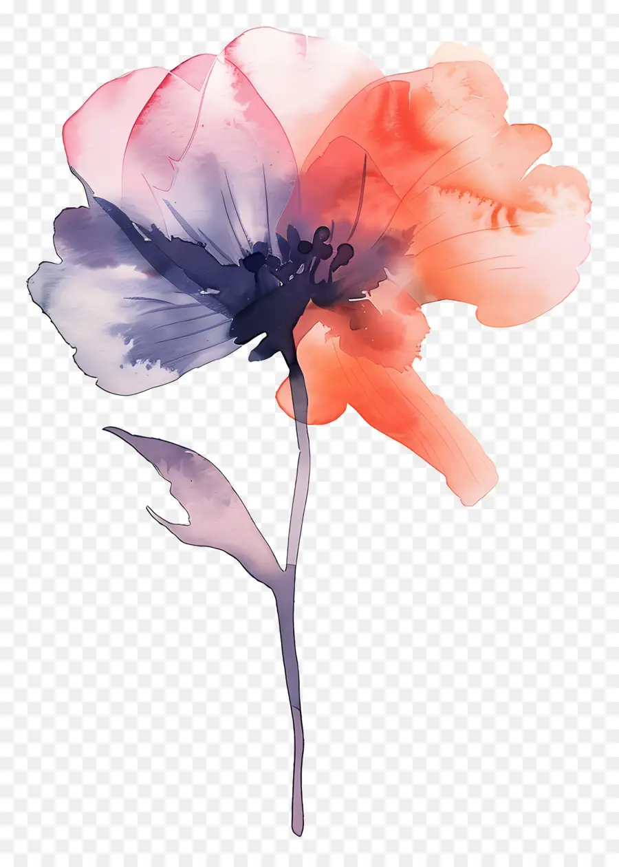 акварель цветок，цветок живопись PNG