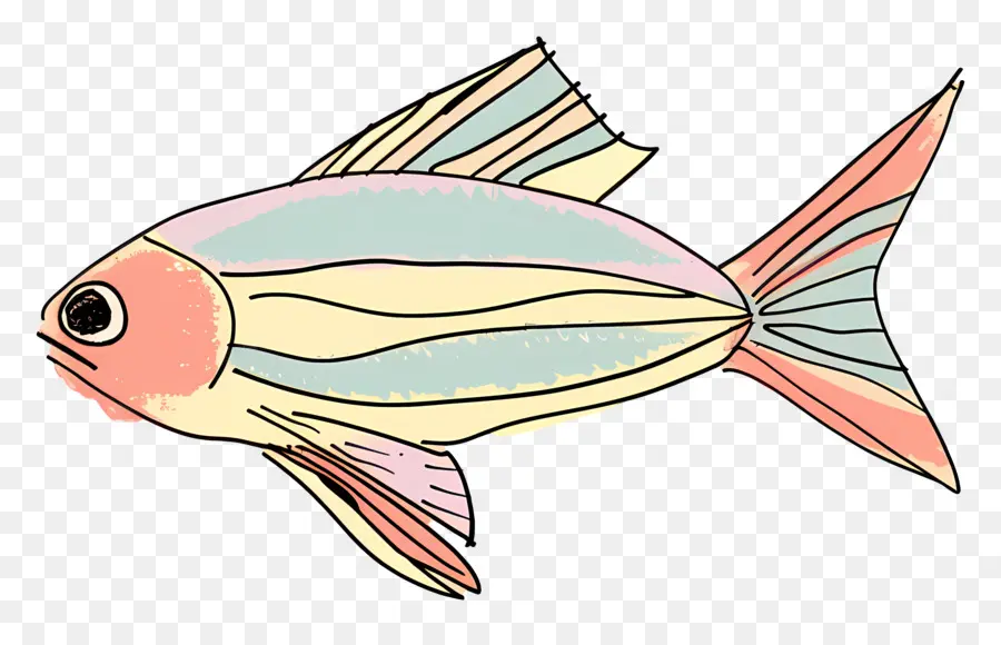 Рыбы，рыбы иллюстрация PNG
